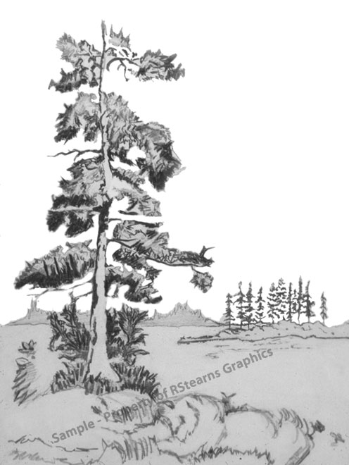 Link to enlarged image of: Pencil drawing, "Trees"