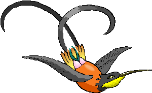 bird