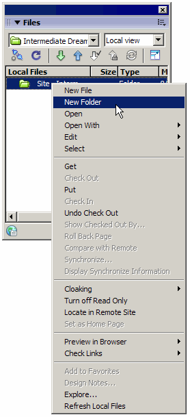 Files panel context menu