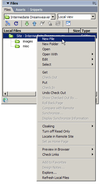 Files panel context menu