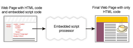  Programming code embedded in a Web page