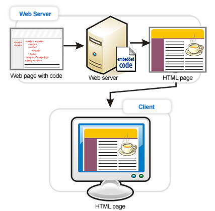  Running server-side programs