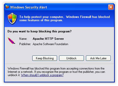  Windows Firewall query