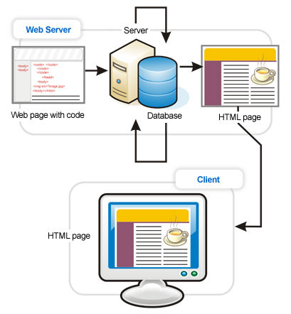  Storing Web page content in a back-end database