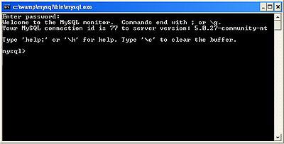  The MySQL Console window
