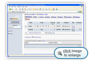 The database view for the recipe database