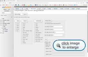 Editing database privileges for a user account