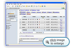 The phpMyAdmin database 
information page for the recipe database